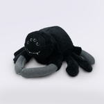 240365_Ze-Moleza-roupa-de-Aranha--2-